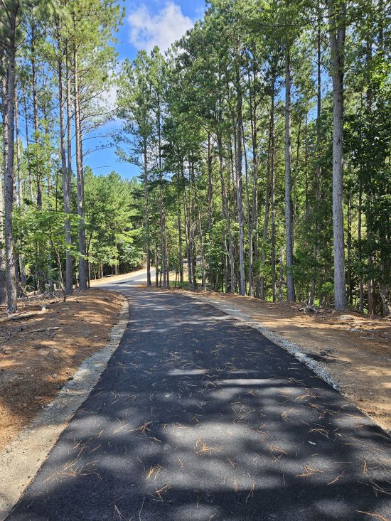 Freshly paved asphalt driveway winding through pine trees in a wooded area
